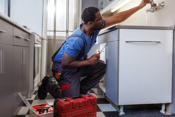 Best Plumbing Inspection Services  in La Plata, NM